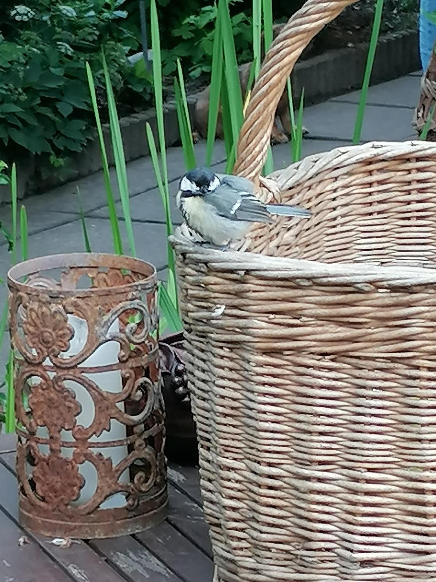 Ferienpark Im Idyllischen Garten Berlin