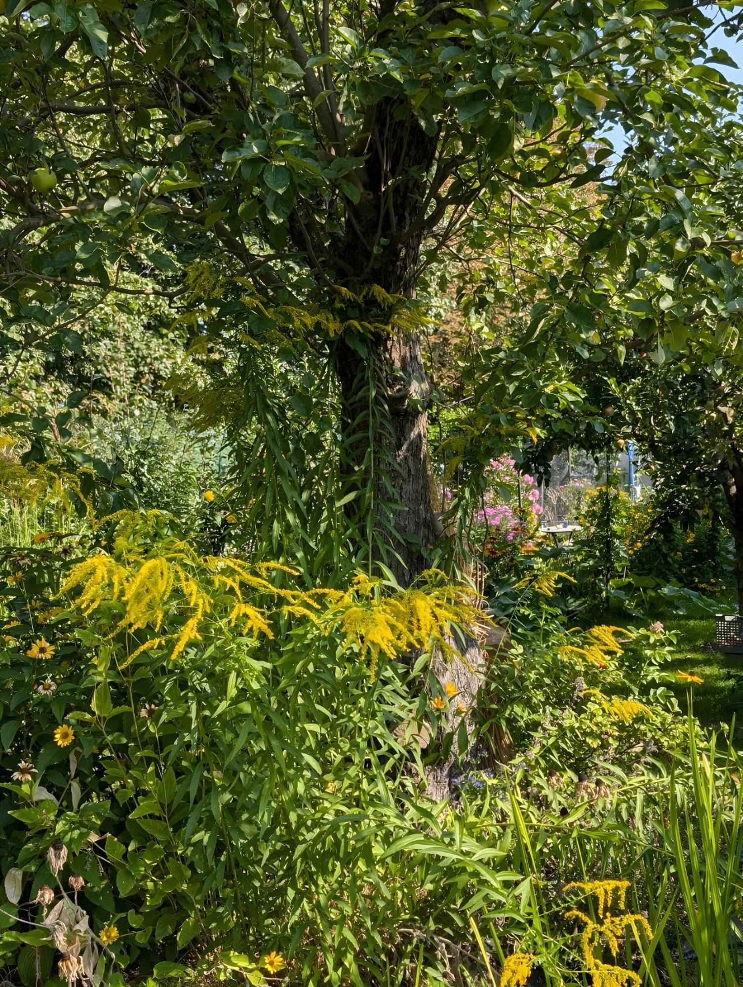 Im Idyllischen Garten Ferienpark Berlin