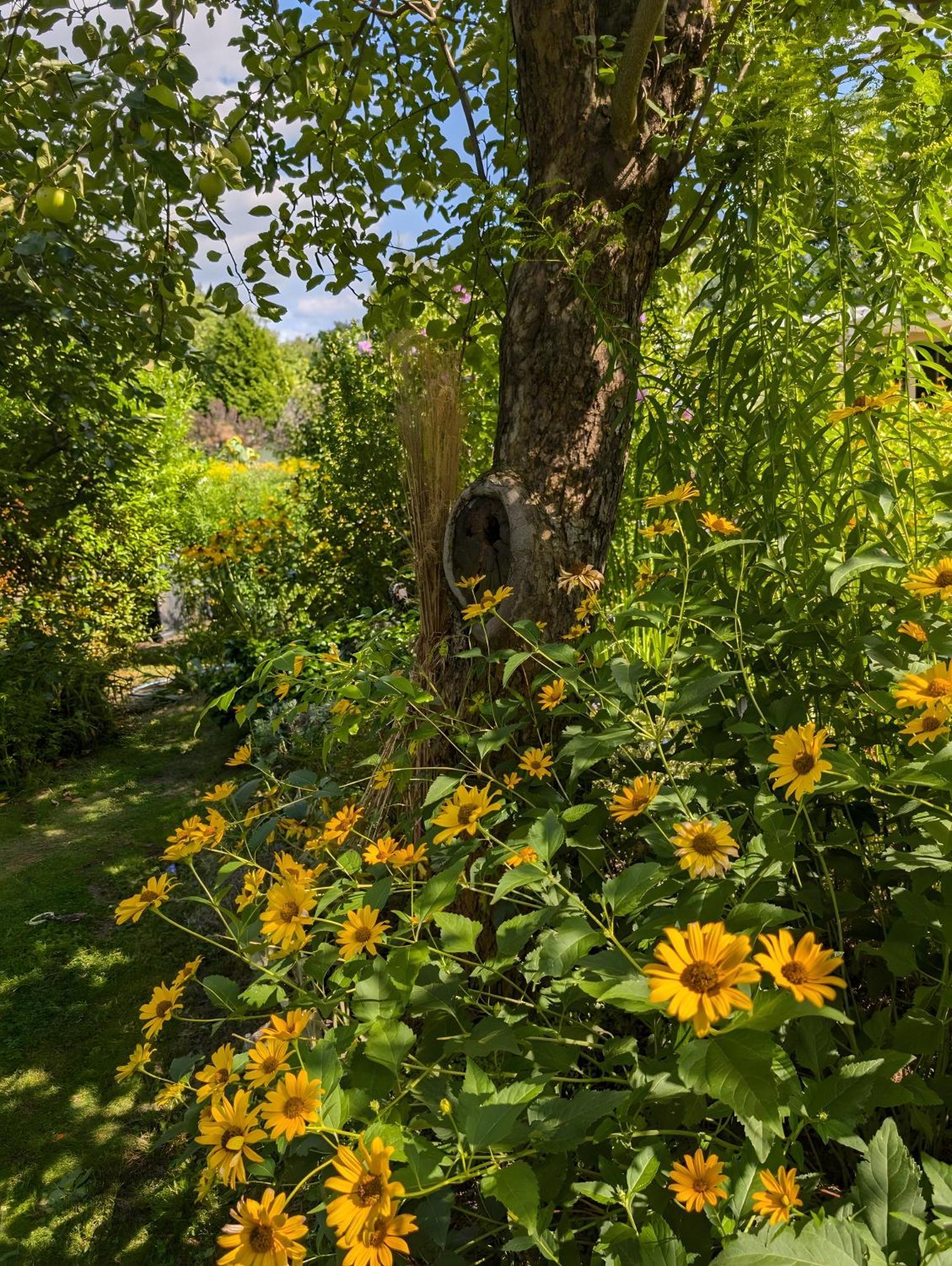 Ferienpark Im Idyllischen Garten
