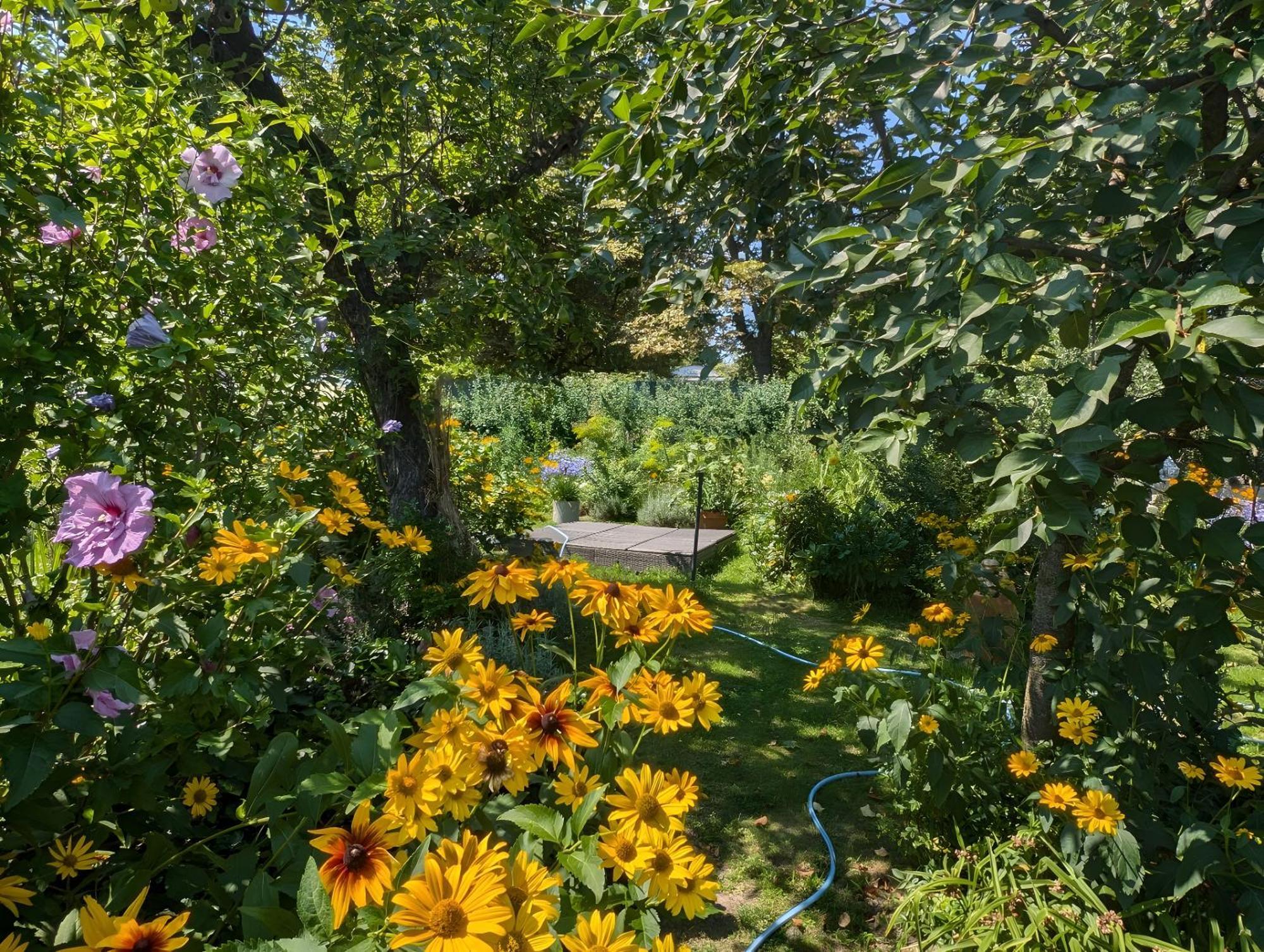 Im Idyllischen Garten Berlin
